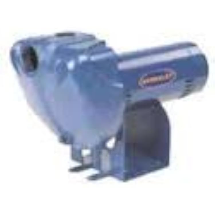 Berkeley 20LTHH Pump