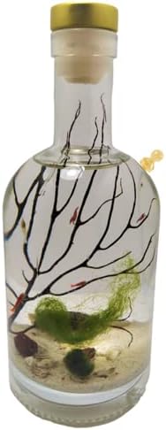 Self Sustaining Semi Enclosed Ecosystem Shrimp Bottle