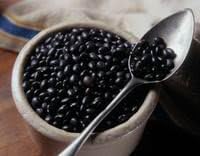 50 Black Bean (Black Turtle Bush Bean) Phaseolus Vulgaris Vegetable Seeds