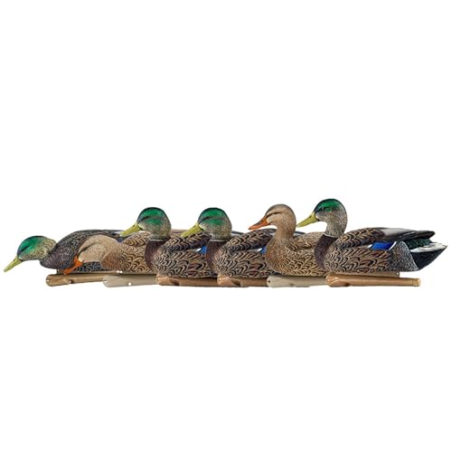 Avian X Topflight Early Season Mallard Duck Decoys, Floating Hunting Pack with Realistic Paint and Motion Keel