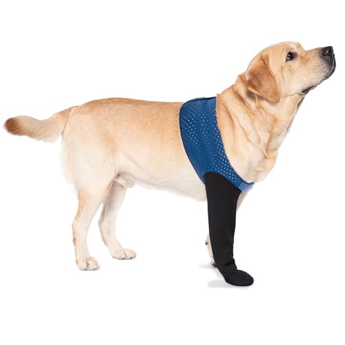 COODEO Dog Socks to Prevent Licking Paws, Healing Boots & Paw Protectors with Non-Slip Bottoms for Wound Protection, Waterproof Sleeve Shoes for LickingBlue,M_Right
