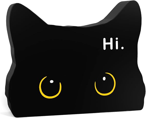 Black Cat Funny Home Bathroom Acrylic Decor Sign Black Cat Decor Cat Bathroom Decor Cat Decor for Home Bathroom Living Room Cat Lover Gifts For Women Men