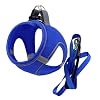 MITA Dog Harness and Leash Set - Puppy Harness - Cat Harness - Comfortable Step-in Big & Small Dog Harness, Breathable and Multi Weather Mesh Escape Proof Dog Harness - Secure & Comfortable