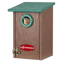 Kingsyard Recycled Plastic Bird House for Outdoors - Weatherproof Wren Bird Nesting with Predator Guard & Air Vents, Green