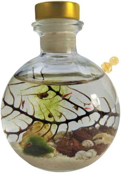 Semi Enclosed Ecosystem Shrimp Ecosphere