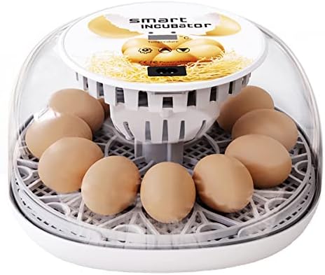 Egg Incubator for 12 Eggs - Automatic Poultry Hatcher Machine with Temperature Control and LED Candler for Hatching Chicken, Duck, Goose, Quail, Parrot, and Turkey Eggs