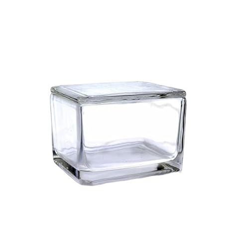 Lab Glass Coplin Staining Jar with Cover 20-Slides Type
