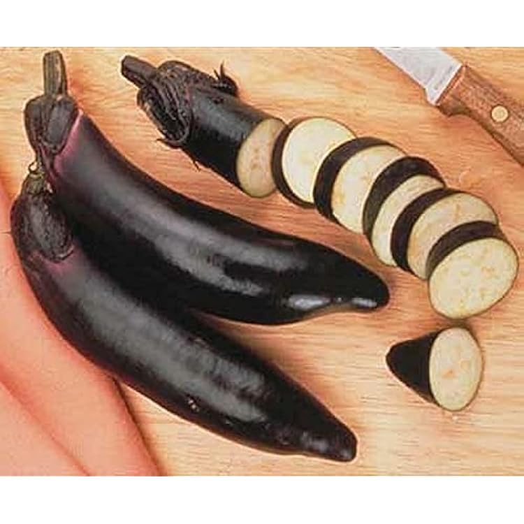 Eggplant Ichiban Vegetable Seeds
