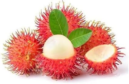 10pcs Red Rambutan Fruit Seeds