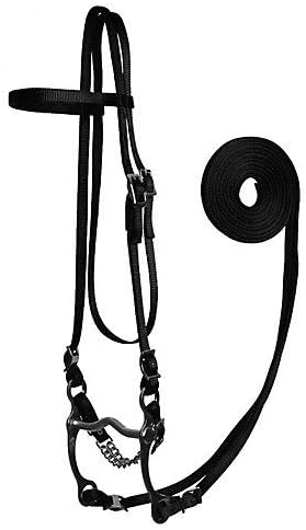 Nylon Bridle with Bit