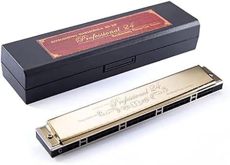 Kong Sheng KS-24P 24-hole chord harmonica professionally played with good air tightness ABS resin material suitable for beginners, students and adults in C harmonica (Golden C)