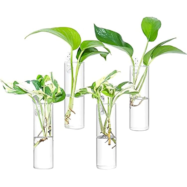 Propagation Station, Plants Terrarium, Plants Lover Gifts for Women,Plant Cutting Holder Home decor,Gifts for Women,House Warming New Home-4 Cylinder Shape
