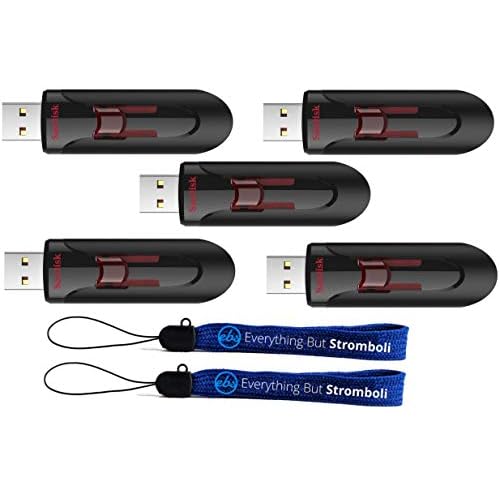 SanDisk 256GB Cruzer Glide 3.0 USB Flash Drive 5 Pack Laptop Computer Pen Drive SDCZ600-256G-G35 Bundle with 2 Everything But Stromboli Lanyards