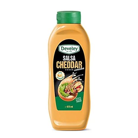 CHEDDAR SALSA 875 ml - Box of 8