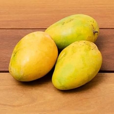 2Pcs Yellow Mango Fruit Seeds