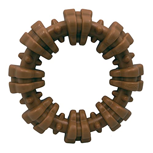 Nylabone Textured Ring Power Chew Toy for Small Dogs, Tough Dog Toys Durable Design for Aggressive Chewers, Best Dog Boredom Toys, Flavor Medley, Small - Up to 25 lbs 1 Count