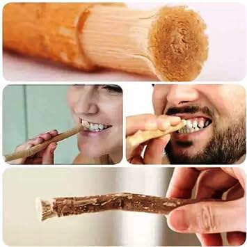 Traditional Natural Miswak sewak Peelu Chewing Stick Toothbrush for Whiter Teeth Pack of 5