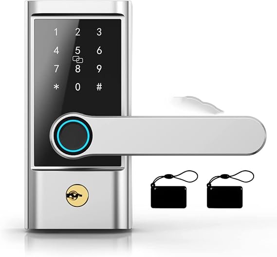 Smart Door Lock Electronic Biological Fingerprint APP Remote Control Key Handle Keyless Entry