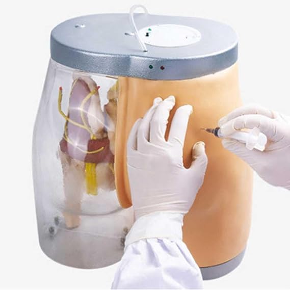 Teaching Model,Injection Practice Buttock Model Transparent Injections Intramuscular Model with Muscle Tissue + Bone Structure + Neurovascular System + Operation Error Alarm Prompt