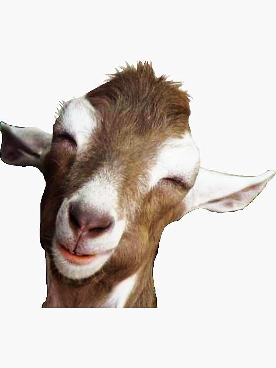 Goat Sticker - Sticker Graphic -Stickers for Hydroflask Water Bottles Laptop Computer Skateboard, Waterproof Decal Stickers