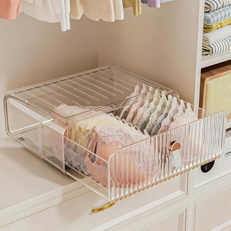 Neprock Underwear Drawer Organizer - Stackable Bra Organizer for Closet, 1 Cell Clear Acrylic Bra Storage Box, Closet Organizers and Storage for Lingerie, Undergarment, Baby Clothes, Scarf