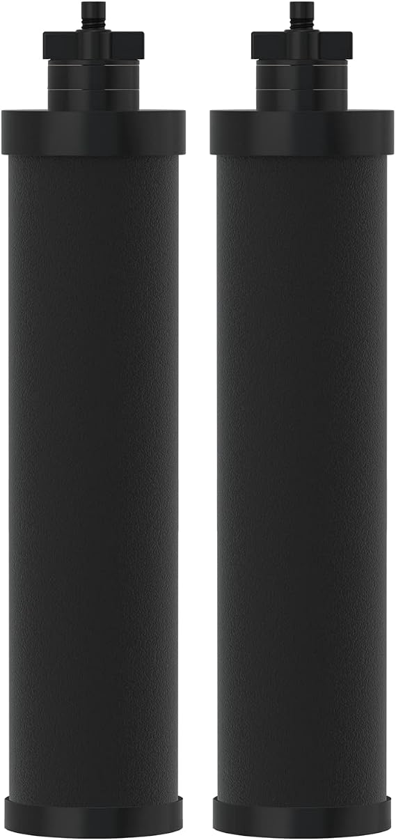 ICEPURE Water Filter Replacement for Berkey BB9-2 Black Purification Elements, Berkey Gravity-fed Water Filter System, 2PACK