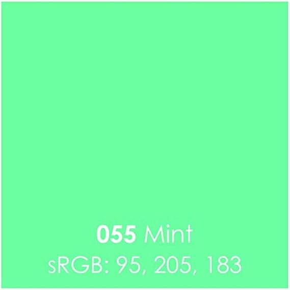 Oracal 651 Glossy Permanent Vinyl 12 Inch x 6 Feet - Mint