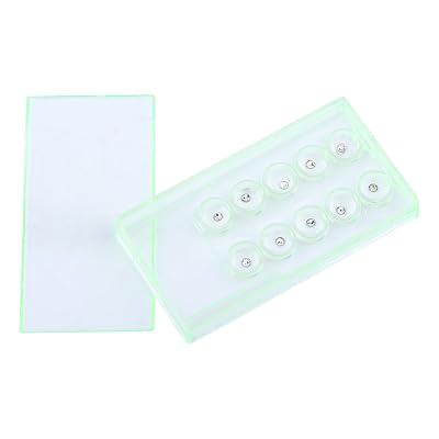 10pcs 2mm Dental Crystal Tooth Ornaments Tooth Teeth Jewelry Decoration White with Box
