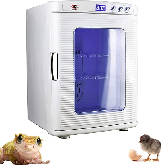 Reptile Incubator, 25L Science Laboratory Incubator Cooling and Heating, Intelligent Incubator Incubator