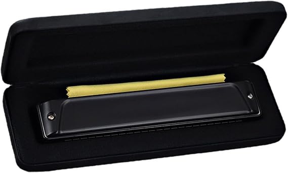 Beginners harmonica Harmonica Professional Performance-level Polyphonic C-tone Adult Beginner 24-hole Harmonica Accent(Polyphonic black)