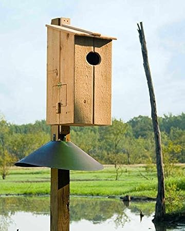 Cypress Wood Duck Nesting Box Hand-Built Birdhouse with Brass Hinge Side Access Door, Predrilled for Easy Mounting, 4" Oval Entrance