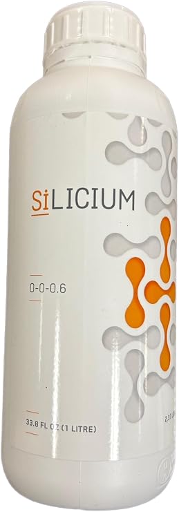 Silicium 1L