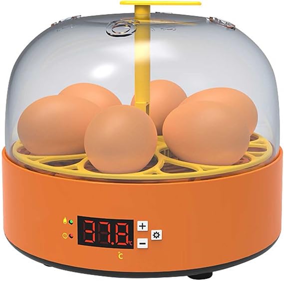 Mini Egg Incubator 6Eggs,Eggs Hatcher with Automatic Turner with Humidity,Incubators for Hatching Chicken Duck Goose Quail Fertilized Eggs(A 6Eggs)