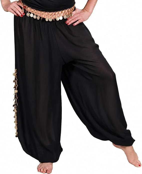 Bellydancer Sheer Chiffon Harem Pants with Side Slits | Maiden Dance