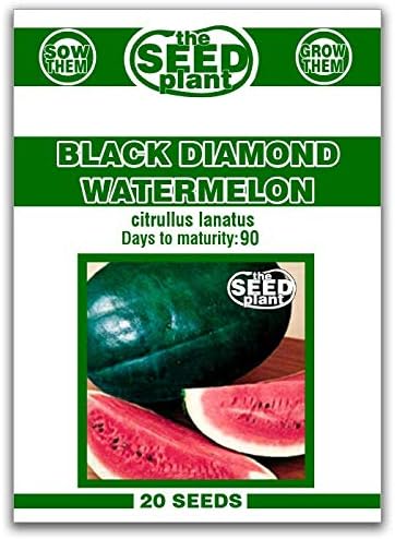 Black Diamond Watermelon Seeds - 20 Seeds Non-GMO