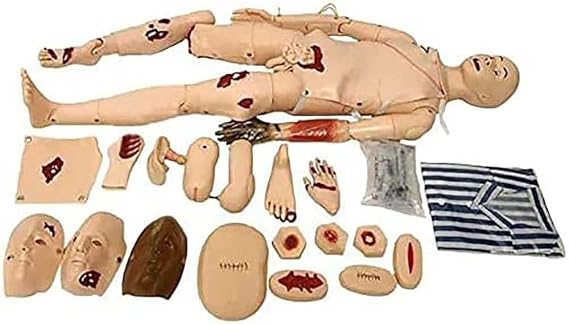 Demonstration Patient Care Simulator, 170CM PVC Nursing Manikin, Medical Anatomical Human Model, Human Anatomical Model with Vital Organs(Male)