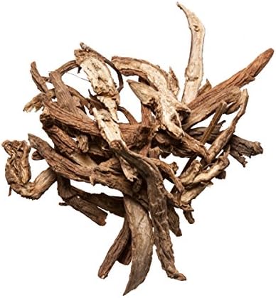 Dipsacus Root Xu Duan Dipsacus Asper Chinese Herb Plum Dragon Herbs (1 Oz.)
