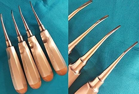 4 Pcs Curved Dental Extracting Extraction Luxating Elevator German