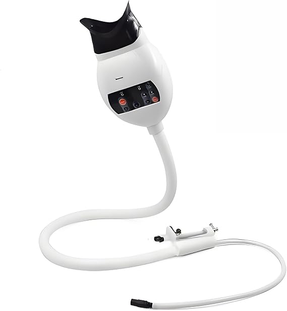Professional Teeth Whitening Machine LED Light, Mobile Dental Teeth Whitening Lamp Bleaching, 3 Colors Blue/Red/Purple Light, Fixing on Table