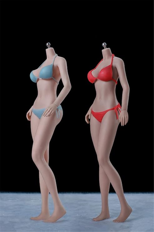 1/6 Scale Female Body,12inch Super Flexible Young Girl Medium Bust Seamless Action Figure Body Collection (S34A Pale Skin Without Head)