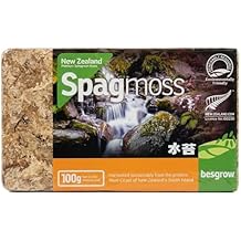 besgrow Premium New Zealand Sphagnum Moss, 100g (8L When Hydrated) - Harvested Sustainably from The Pristine West Coast of New Zealand's South Island