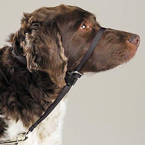 Dog Training Headcollars Safely Teach Your Pup to Walk Straight(Medium Headcollar Black)