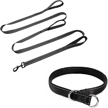 10FT Triple Handle Dog Leash Reflective +Reflective Slip Collar (Small Collar)-Training Dog Lead for Control and Safet (Black)