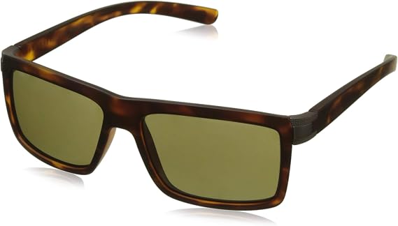 Serengeti Sunglasses Clint by Bolle Brera