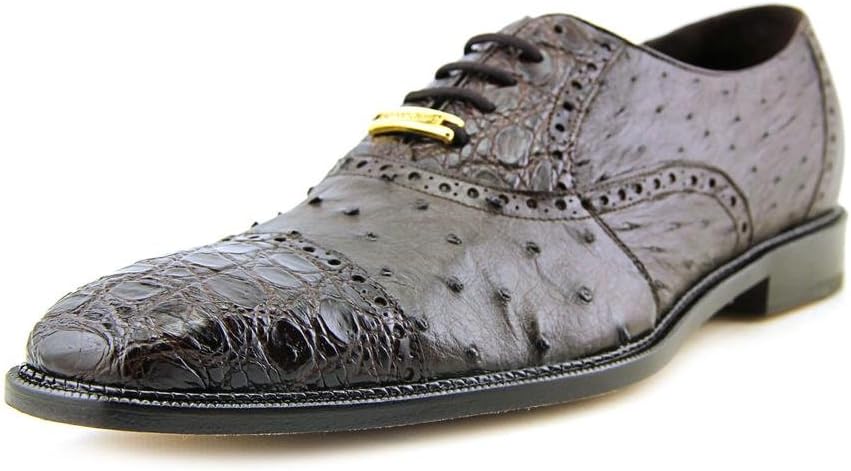 Belvedere Onesto II- Brown