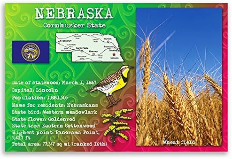 NEBRASKA STATE FACTS postcard set of 20 identical postcards. Post cards with NE facts and state symbols. Made in USA.