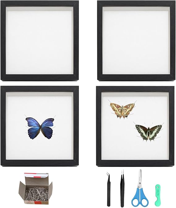 4 PCS Insect Display Case Wall Mount, Bug Display Case Collection Box for Butterfly Specimen with Clear Acrylic Top 4 PCS Eva Foam Pinning Board 1 Box of Pins 2 Tweezers 1 Knife 1 Scissors