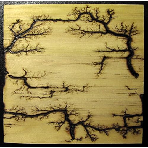 imagesco - Etched Lightning TM Captured In Wood. Branching High Voltage Electrical Discharge Creates One-of-a-Kind Lichtenberg Figure Artwork Of Elegant Bonsai Style Zen Patterns Burned Into Wood.