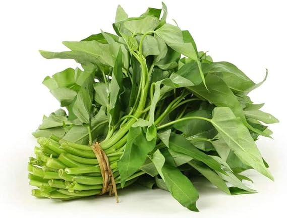450 Kong Xin CAI Seeds - 21+ Grams Green Leaf Vegetable Seeds for Planting Garden - Non-GMO Choy Ong Seeds & 100% Produced in 450 seeds