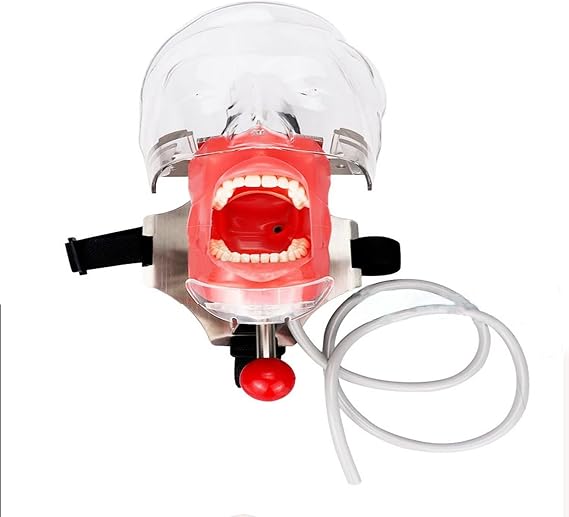 Dental Simulator Manikin with Silicone Mask and Removable Tooth Model, Dental Phantom Head Model, Dental Models for Dental Students Training, 360 Degree Rotatio